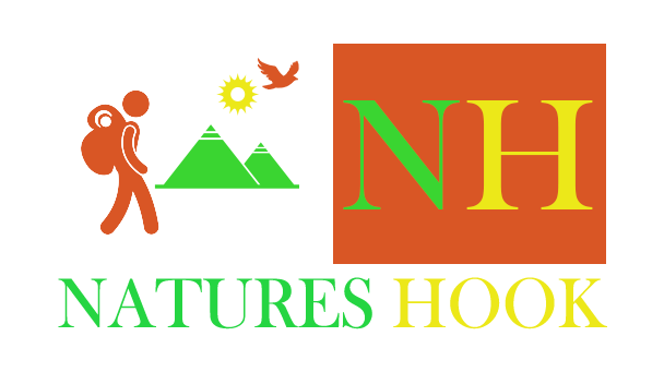Nature Hook | Accommodations - Nature Hook